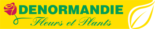 DENORMANDIE